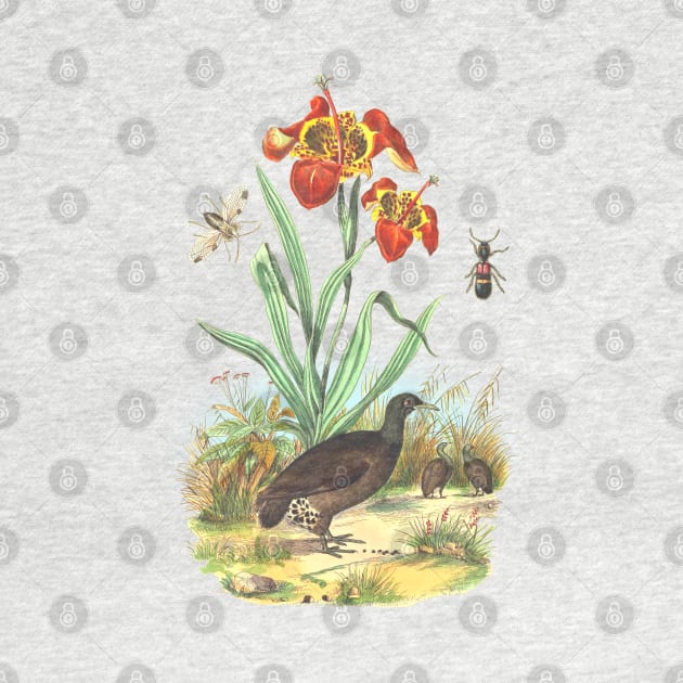 Wildlife Tropical Illustration by Biophilia